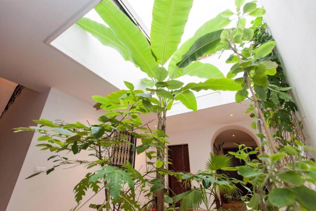 Appartement Cheap & Chic In The Center Of Sevilla